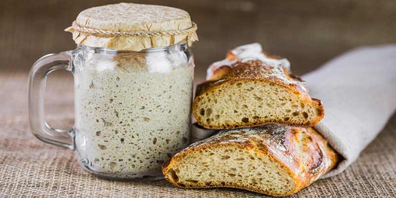 how to feed sourdough starter