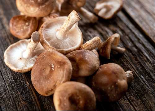 how to cook mushrooms