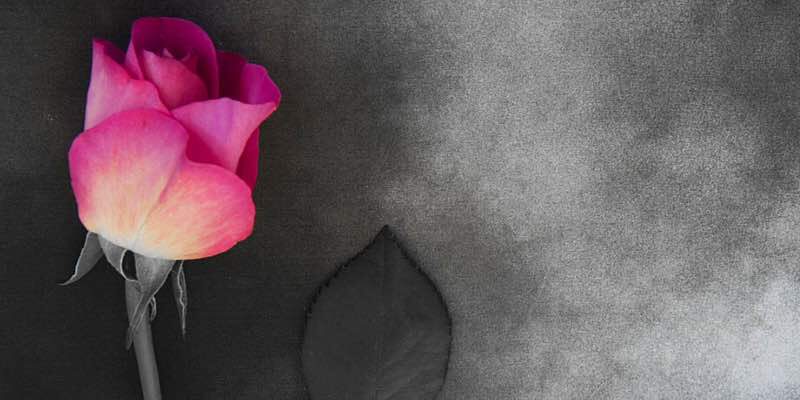 How to Create a funeral program