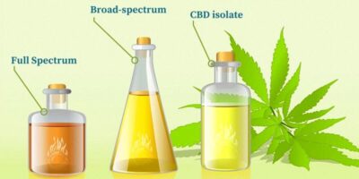 How to choose a CBD product