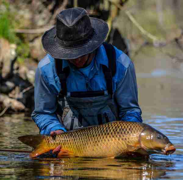 how to catch carp