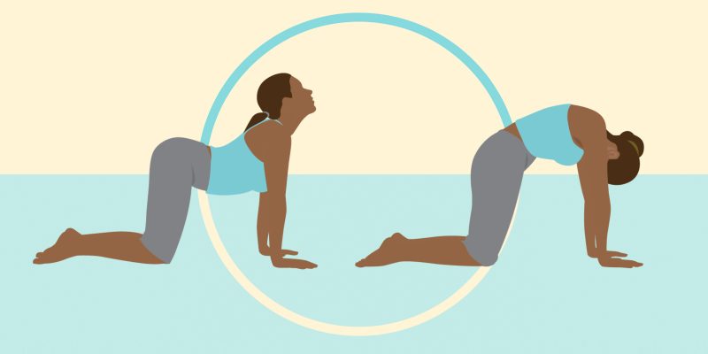 How to stretch your back