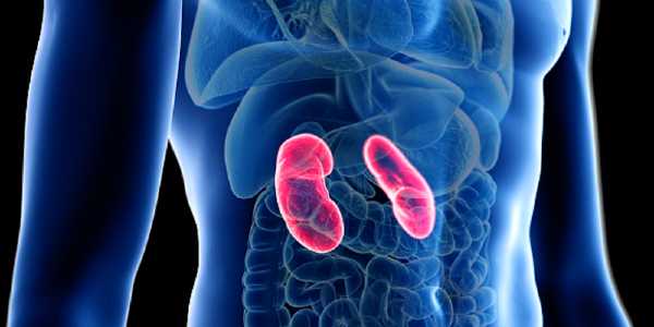 how to improve kidney function