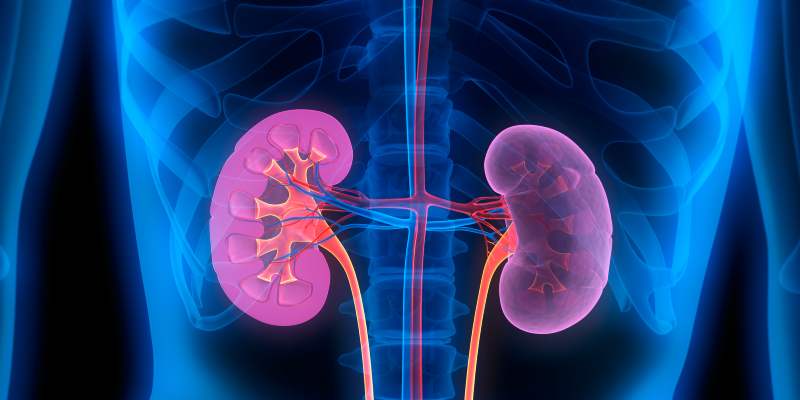 how to improve kidney function