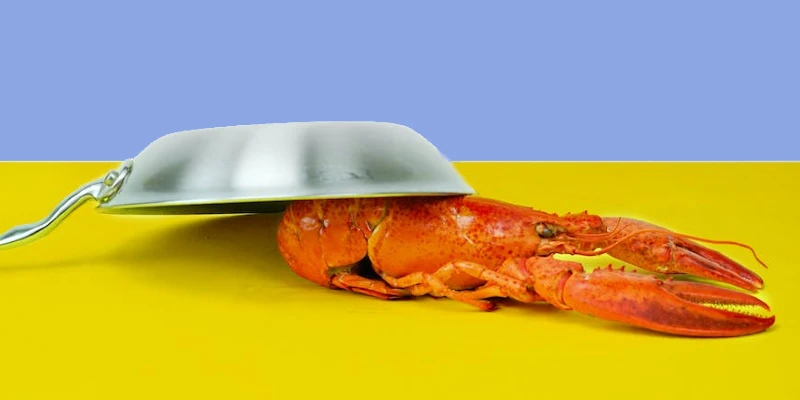 how to cook lobster
