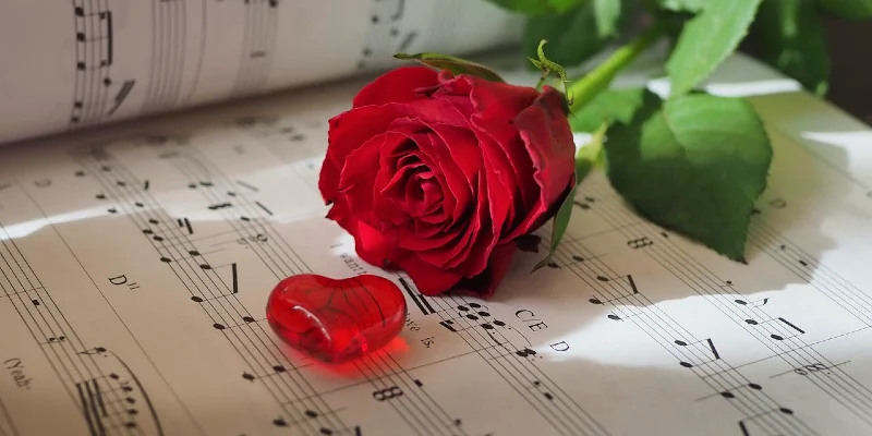 how to dry out roses